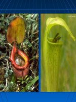 tiet 32- trao doi chat