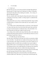 Thực trạng định giá cổ phần các doanh nghiệp Việt Nam