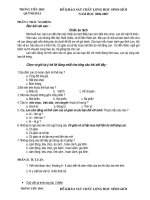 Khảo sát HSG Lớp 2-5