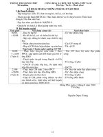 Kế hoạch tổ TN trường THCS Đông Phú tháng 8 năm học 2010-2011