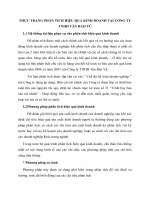 THỰC TRẠNG PHÂN TÍCH HIỆU QUẢ KINH DOANH TẠI CÔNG TY TNHH TÂN BẢO VŨ