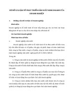 CƠ SỞ LÍ LUẬN VỀ PHÁT TRIỂN SẢN XUẤT KINH DOANH CỦA DOANH NGHIỆP