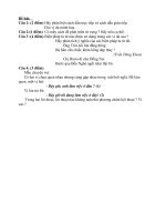 ĐỀ KIỂM TRA TIẾNG VIỆT 1 TIẾT