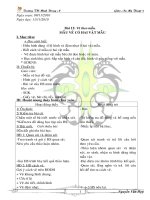 MT5- ve theo mau- mau vẽo coù hai vat mau (cktkn0