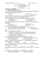 De thi chon doi tuyen hsg lop 9