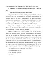 TÌNH HÌNH TIÊU THỤ SẢN PHẨM Ở CÔNG TY NHỰA HÀ NỘI