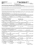 Đề thi tháng làn 2- THPT NSL- BG