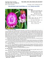 Bài phát thanh tuyên truyền Măng non  tháng 8