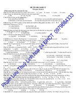 De on thi HKI lop 12 (10-11)