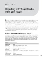 Reporting with Visual Studio 2008 Web Forms.