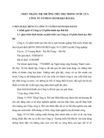 THỰC TRẠNG THỊ TRƯỜNG TIÊU THỤ TRONG NƯỚC CỦA CÔNG TY CỔ PHẦN BÁNH KẸO HẢI HÀ