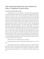 THỰC TRẠNG HOẠT ĐỘNG TIÊU THỤ SẢN PHẨM CỦA CÔNG TY TNHH QUỐC TẾ SONG THANH