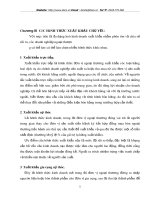 Chương III  CÁC HÌNH THỨC XUẤT KHẨU CHỦ YẾU