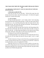 THỰC TRẠNG PHÁT TRIỂN TIỂU THỦ CÔNG NGHIỆP TRÊN ĐỊA BÀN TỈNH HÀ TÂY