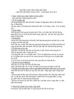 CHUYÊN ĐỀ MÔN TOÁN LỚP 5 -NĂM HỌC 2010-2011