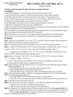 Đề cương ôn tập 10cb