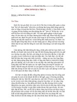 Đồ dùng dạy học - Nhớ về Ninh Hòa