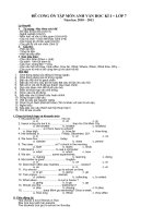 de cuong tieng anh 7 hot