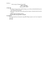 GA-TICH-HOP MT+HCM T11