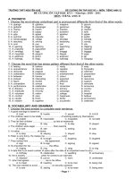 ĐỀ CƯƠNG ÔN TẬP HK I (Tiếng Anh 11)