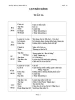 GA TUAN 16 LOP 4 CKTKN+KNS