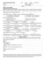 Tin 8 * Kiểm tra học kì I (4 đề)