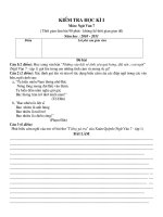 de thi hoc ki van co dap an