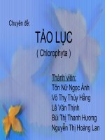 ngành tảo lục