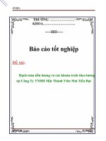 Báo cáo tốt nghiệp: 