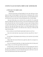 CƠ SỞ LÝ LUẬN XÂY DỰNG CHIẾN LƯỢC  KINH DOANH