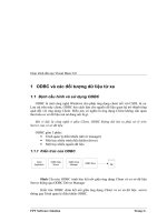 ODBC và các đối tượng dữ liệu từ xa