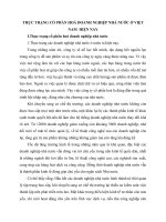 THỰC TRẠNG CỔ PHẦN HOÁ DOANH NGHIỆP NHÀ NƯỚC Ở VIỆT NAM  HIỆN NAY