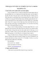 Tổng   quan về Công ty cổ phần vận tải và Thương mại Đường Sắt