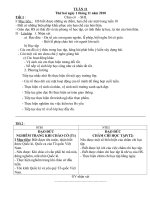 GA Tuần 11 lớp ghép 1+2