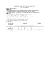 bai kiem tra 1 tiet hoc ki 1 nam 2010-2011