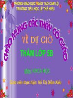 phong tranh bi xam hai