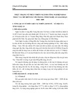 THỰC TRẠNG VỀ PHÁT TRIỂN NGÀNH CÔNG NGHIỆP KHAI THÁC VÀ CHẾ BIẾN ĐÁ VÔI TRẮNG TỈNH NGHỆ AN GIAI ĐOẠN 2002  2009