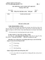 KIEM TRA GIUA KI MON TV LOP 3