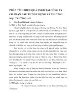 PHÂN TÍCH HIỆU QUẢ SXKD TẠI CÔNG TY CỔ PHẦN ĐẦU TƯ XÂY DỰNG VÀ THƯƠNG MẠI TRƯỜNG AN