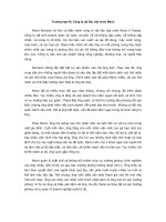 Công ty vật liệu cấp nước Mario