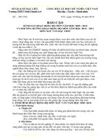 BÁO CÁO  NGỮ VĂN 2010