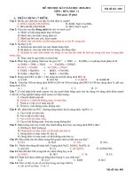 de thi thu lop 11 rat hot