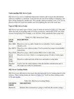 Understanding SQL Server Locks