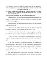 VAI TRÒ CỦA TÍN DỤNG NGÂN HÀNG ĐỐI VỚI VIỆC PHÁT TRIỂN CÔNG NGHIỆP SẢN XUẤT HÀNG TIÊU DÙNG TRONG NỀN KINH TẾ THỊ TRƯỜNG Ở NƯỚC TA