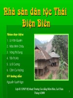 Nha san dan toc Thai o Dien Bien