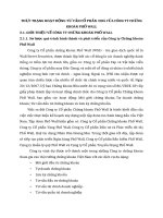 THỰC TRẠNG HOẠT ĐỘNG TƯ VẤN CỔ PHẦN  HOÁ CỦA CÔNG TY CHỨNG KHOÁN PHỐ WALL