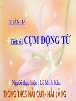 CỤM ĐỘNG TỪ