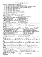 DE CUONG HOA 9 HKIke