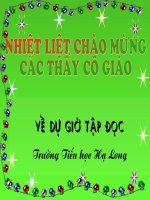 Tập đọc lớp 4 bài Tuổi Ngựa