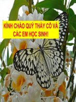 bai 19 tuan hoan mau